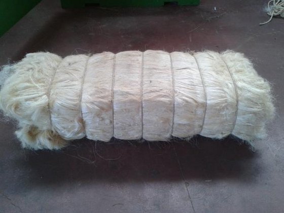 100% Natural Baled Bleached White Raw Sisal Fiber