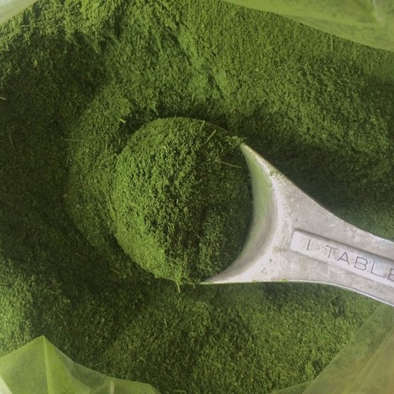 Moringa Seed Extract Moringa Powder