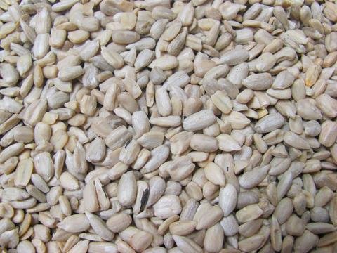 5009 Sunflower Seed Kernels for Bird Feed