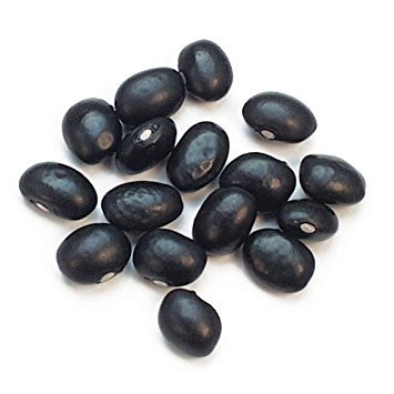 Black Beans Factory -Best Quality and Price