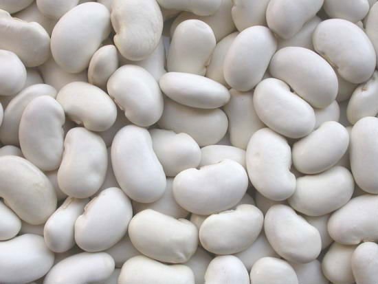 White Kidney Beans (Best Price and Quality)