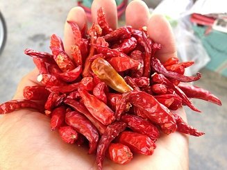 Dried Red Hot Chili with Best Price