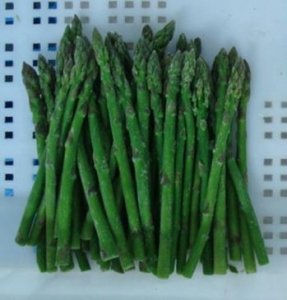 IQF Frozen Green Asparagus Spears
