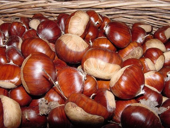 Wholesale Sweet Fresh Chestnut