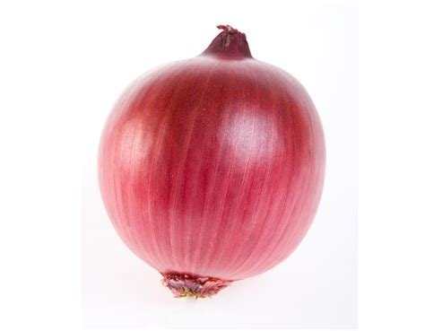 Export Fresh Red Onion with Premium Quality