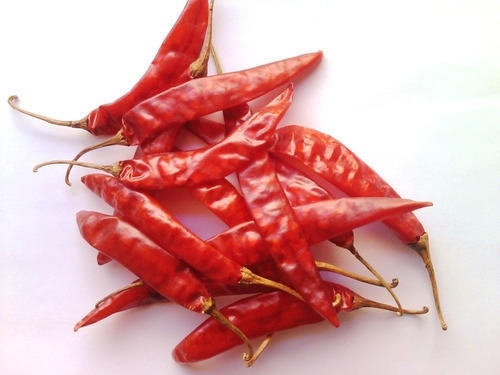 Dry Red Chilli - Dried Red Chilli - BEST PRICE and QUALITY