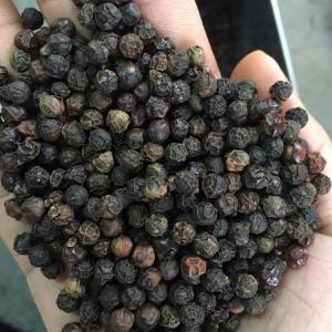 Wholesale moisture: Pepper
