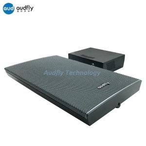 Wholesale Speakers: 21W Audfly B1 Model Directional Speaker with Amplifier Ultrasound Directional Speaker