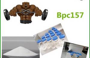 Wholesale refrigerated storage rooms: BPC-157|BPC 157|BPC157 Lyophilized Powder High Purity Peptides Pentadecapeptide