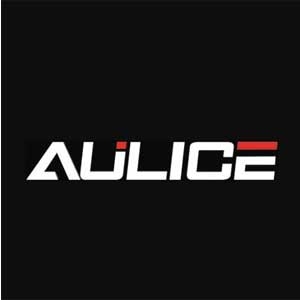 HUBEI AULICE TYRE CO.,Ltd Company Logo