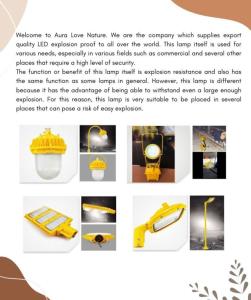 Wholesale explosion proof led light: The Best Quality of Explosion Proof LED Lighting for Oil & Gas Company and Power Plant Company, Etc