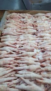 Wholesale slaughter: Grade ''A'' Frozen Chicken Feet & Paws, Chicken Feet, Chicken Gizzards
