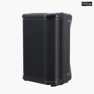 Wholesale outdoor pa speakers: Wholesale AUSMAN Outdoor PA Speaker System AS-219 | Factory Guangzhou AUSMAN Audio Co., Ltd