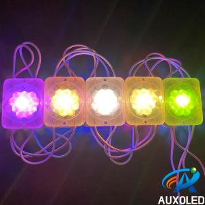 Wholesale auto led lighting: DC12V 0.6W IP65 Waterproof RGB Auto Flash LED Module Light/LED Signal Light/LEDCaution Light