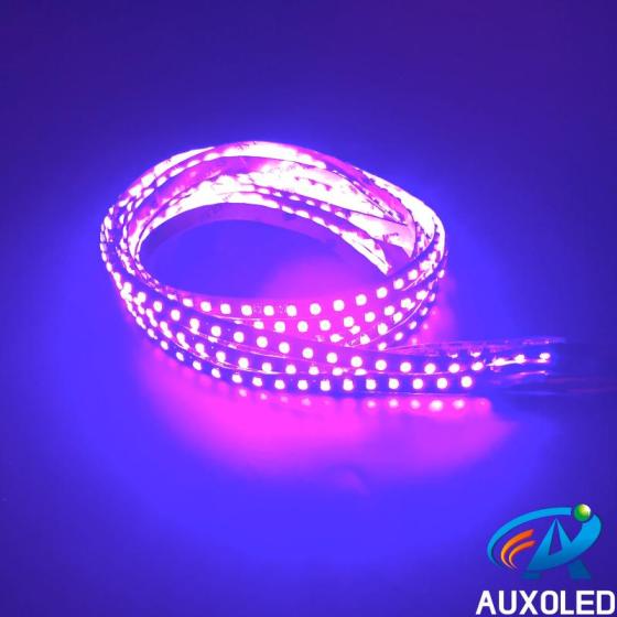UV+CW Double Circuit DC12V 4.8W Ink Curing Moth Luring IP65 Flexible LED Strip Light