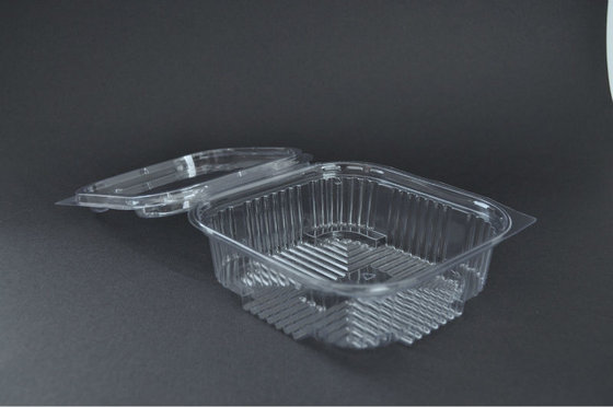 https://image.ec21.com/image/avecotrade/oimg_GC07489557_CA07489571/Disposable-Plastic-Hinged-Food-Container.jpg