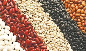 Wholesale minerals: Beans - Kidney Bean, Chickpeas, Vigna Beans, Soybeans, Peas, Mung Beans, Black Beans, Butter Beans