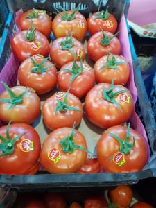 Wholesale vegetable: Tomato