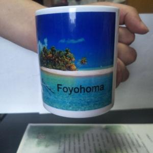 Wholesale coffee mug: Foyohoma Coffee Mug Bone China Tea Mug for Home, Office, Shool, White, DIY Picture Support