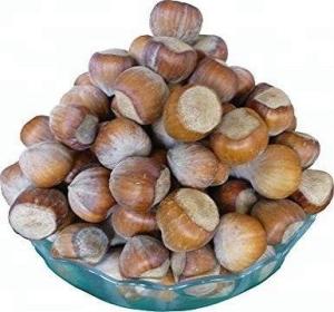 Wholesale raw material: Hazelnuts