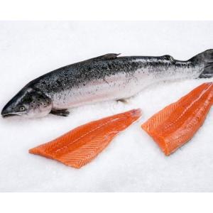 Wholesale labels: Bristol Fish