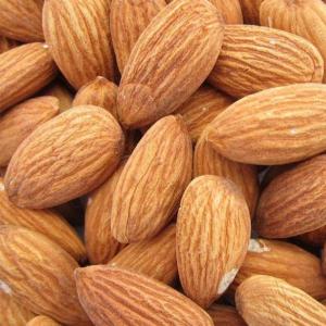Wholesale raw white: Almond Nut