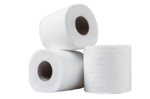 Wholesale white paper: White Toilet Tissue Paper