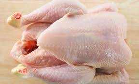 Wholesale chicken paw: Halal Frozen Chicken / Halal Whole Frozen Chicken/ Whole Halal Frozen Chicken / Whole Frozen Chicken