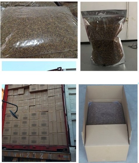 pet food bulk wholesale