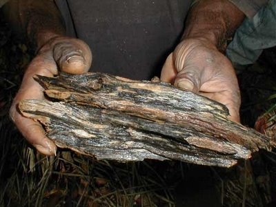 Agarwood Gaharu Wood Id 3900920 Product Details View Agarwood Gaharu Wood From Gaharu Jogja Company Ec21