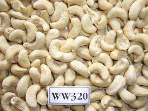 Wholesale cashew nut: Nuts Kernels