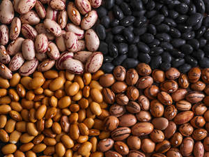 Wholesale speckled kidney bean: Beans