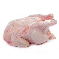 Halal Whole Frozen Chicken for Sale 