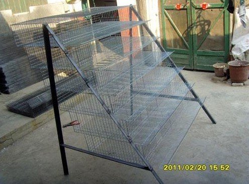 Quail Cages For Sale In Philippinesid10103507 Buy China Cage For Quail Wire Mesh Quail Cage Quail Laying Cage Ec21