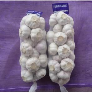 Wholesale d g bag: Garlic