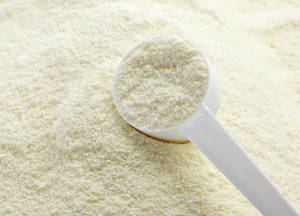 Wholesale skim milk: Skimmed Milk Powder