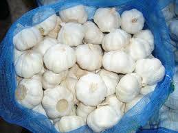 Wholesale cif: Fresh Natural Pure White Garlic