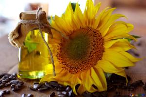 Wholesale cooking oil: SunFlower Oil