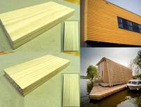 Acetylated Wood - Outdoor Application