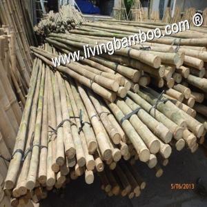 Wholesale furniture: Bamboo Poles for Construction, House, Furniture