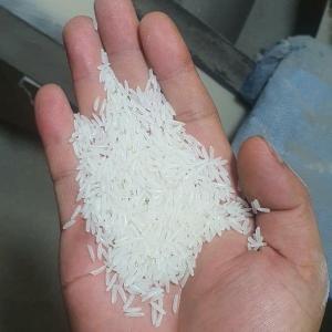 Wholesale Rice: Parboiled Rice 100% Grade