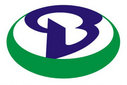 Guangdong Baolong Automobile Co., Ltd. Company Logo