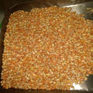 Wholesale Grain: Bulk Yellow Corn From Agentina (Animal Feed Yellowcorn).
