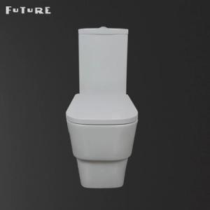Wholesale closet: Dual Flush 3L 6L Wash Down Type Water Closet Floor Mounted Wc Bathroom Sanitary