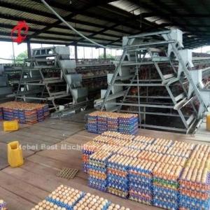 Wholesale automatic chicken layer cage: Turnkey Project Automatic Poultry Battery Cage System 3 Tiers 450cm2 Star