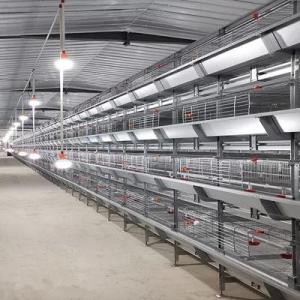 Wholesale raised flooring systems: 1480x1750x440mm Battery Chicken Cage