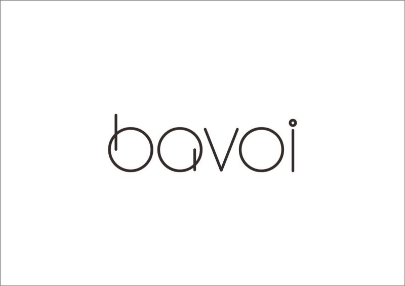 Bavoi Hardware Industrial Co., Ltd
