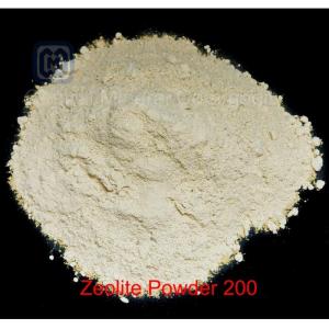 Wholesale food activities: NATURAL ZEOLITE POWDER 200mesh for ANIMAL FEED ADDITIVE BEIGE COLOR