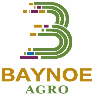 Baynoe Chem Co., Ltd Company Logo