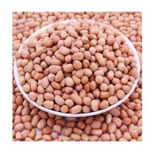 Wholesale chinese peanut: Good Quality Raw Peanuts, Pea Nut, Roasted, Raw Ground Nuts